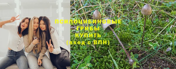 соль ск Богданович