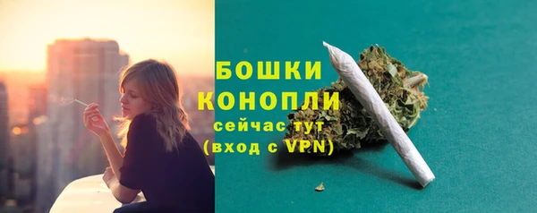 соль ск Богданович