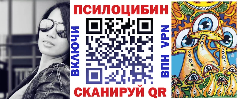 купить   Медногорск  Псилоцибиновые грибы прущие грибы 